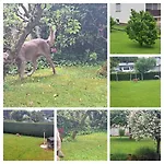 Nature Park, 2 Double, 1 Sofa For Sleeping In 3 Rooms, Kitchen, Bathroom