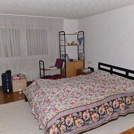 Apartment Nature Park, 2 Double, 1 Sofa For Sleeping In 3 Rooms, Kitchen, Bathroom Mittenaar